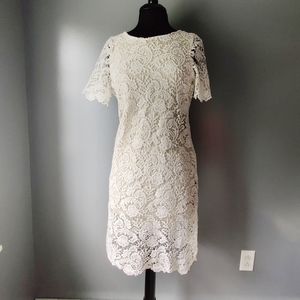 Lace Sheath Dress